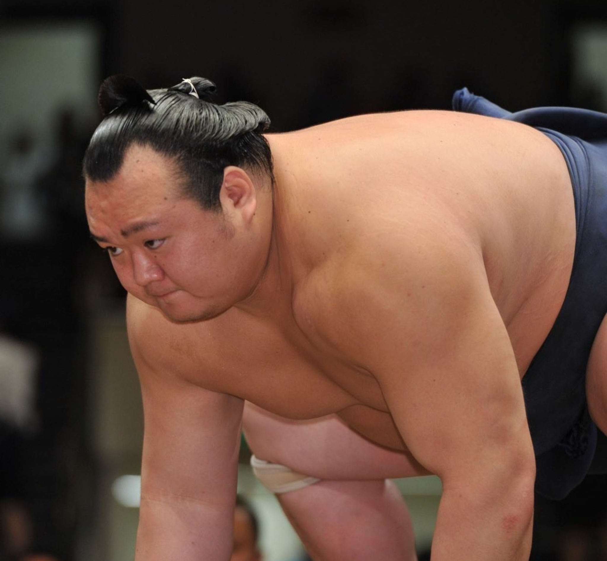 宝富士引退桐山襲名披露大相撲メインビジュアル